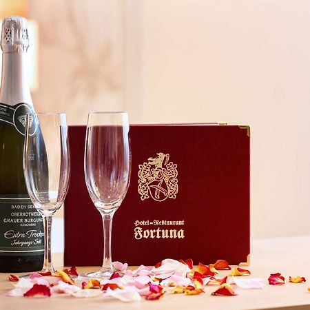 Hotel Fortuna Kirchzarten Zewnętrze zdjęcie