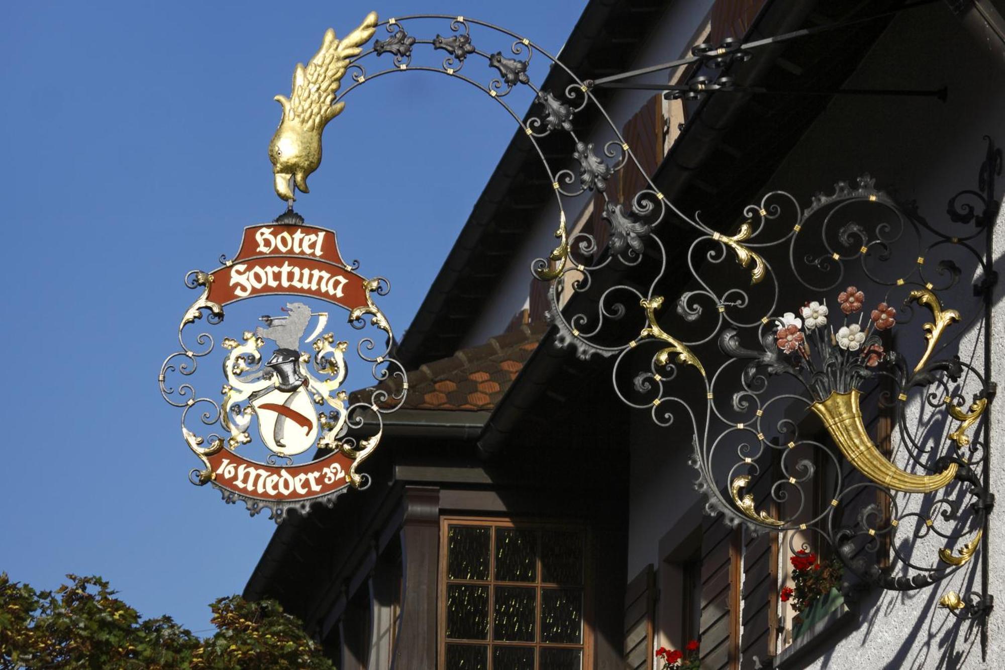Hotel Fortuna Kirchzarten Zewnętrze zdjęcie